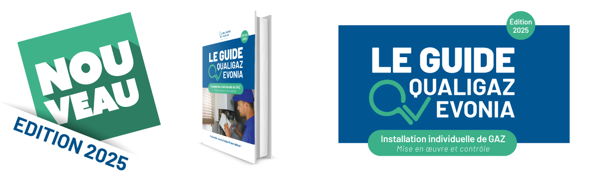 Banner-web-guide-qv-2025