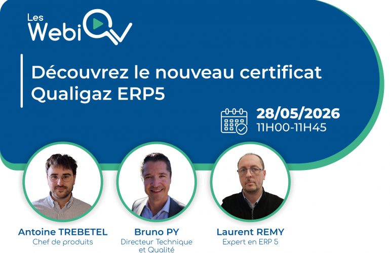 WebiQv-ERP5